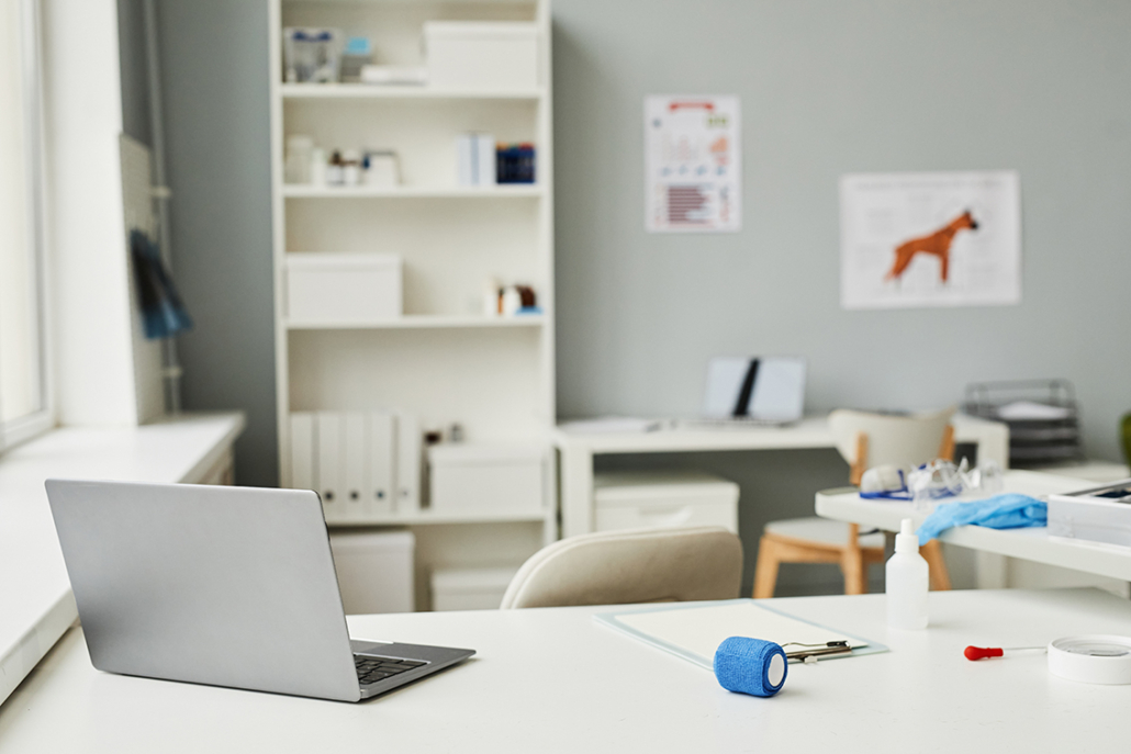 Vetsquared Innovet Practice Ownership Struggles