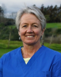 Michelle Reaks Veterinarian copy Michelle Reaks Veterinarian copy